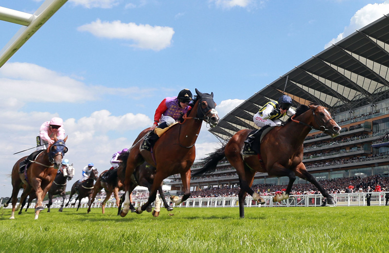 Royal Ascot Races